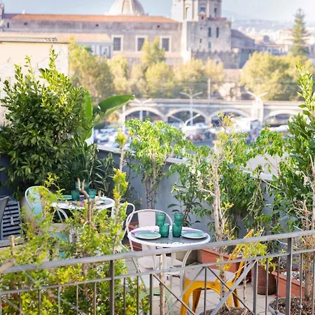 Rooftop53 Couette-café